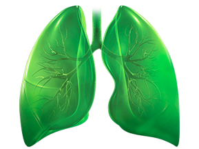 Enhancing MDT Collaboration in Early-Stage Resectable NSCLC for Improved Patient Outcomes